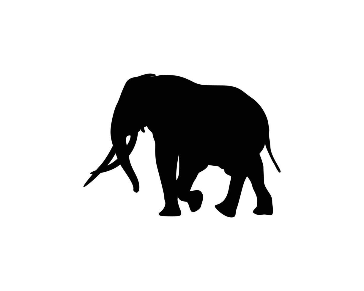 Elephant silhouette vector template