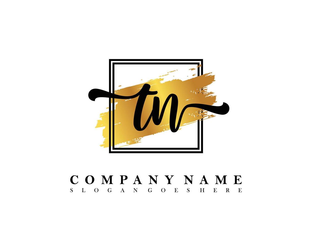 TN Initial handwriting logo concept vector