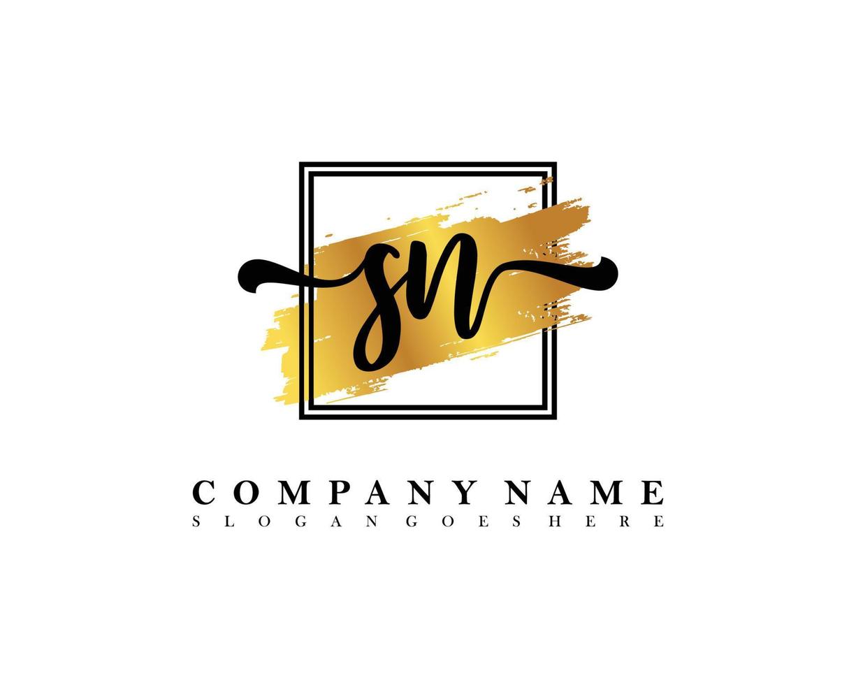 SN Initial handwriting logo concept vector