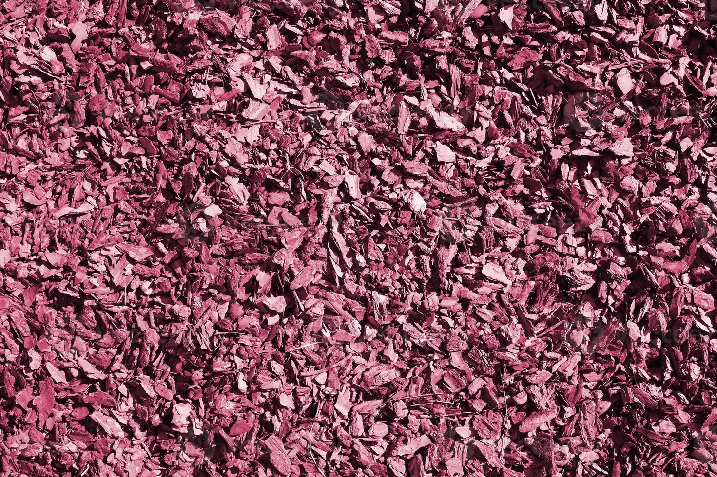 Full frame closeup of brown mulch used for gardening and landscape decoration. Texture of Birch mulch bark for garden. Image toned in Viva Magenta, color of the year photo