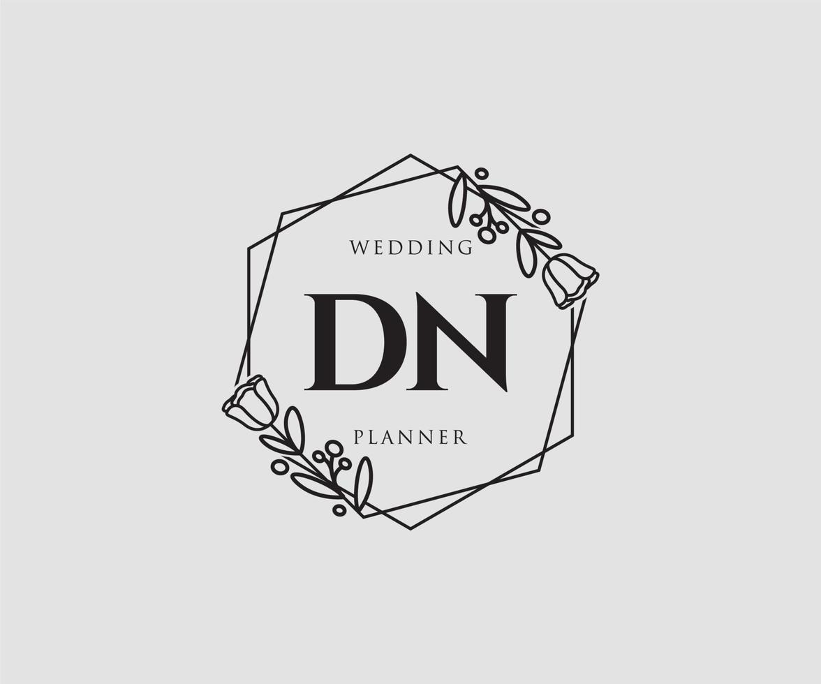 Initial DN feminine logo. Usable for Nature, Salon, Spa, Cosmetic and Beauty Logos. Flat Vector Logo Design Template Element.