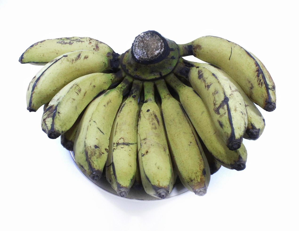 Flat lay of an organic latundan banana aka tundan silk banana pisang