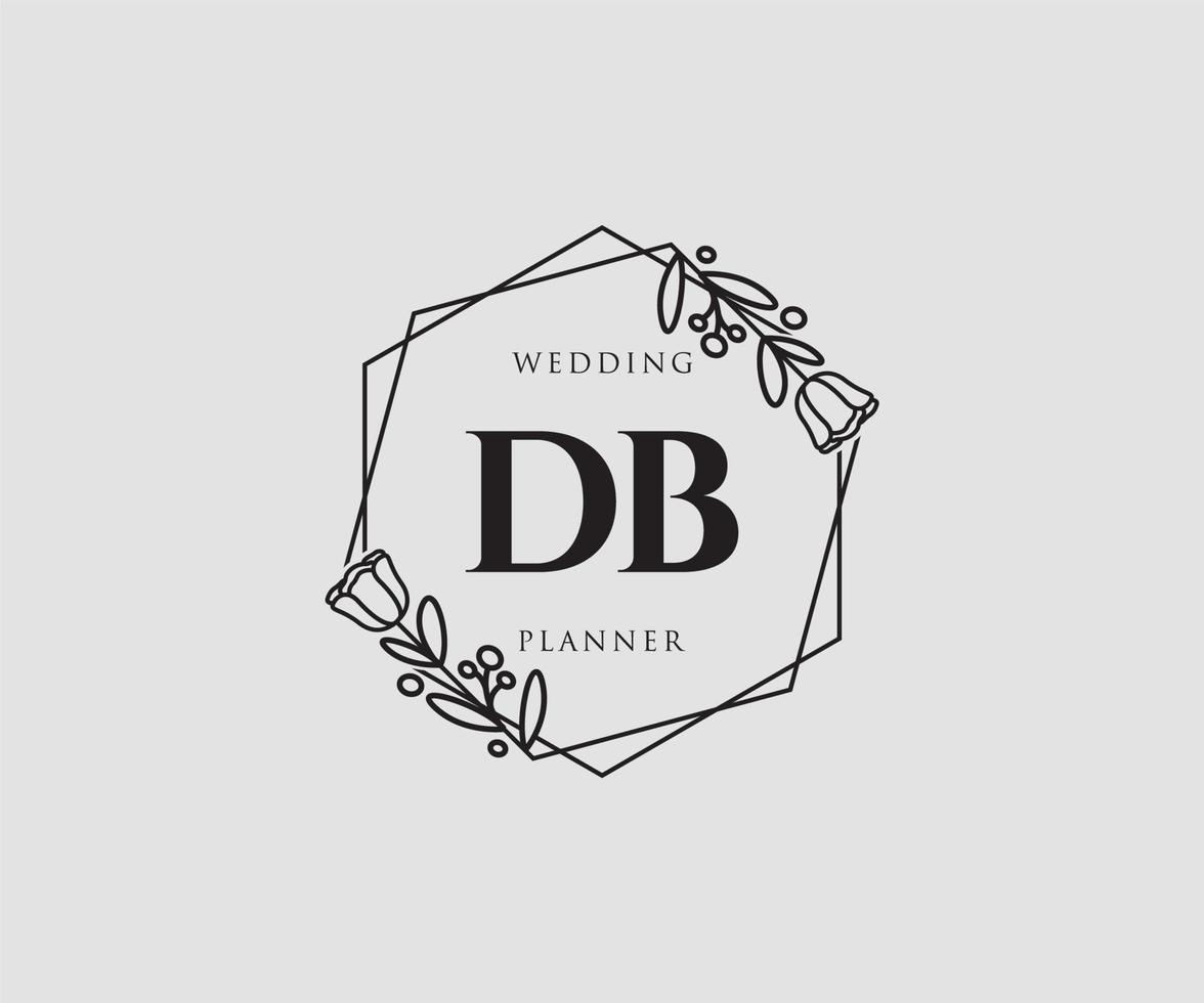Initial DB feminine logo. Usable for Nature, Salon, Spa, Cosmetic and Beauty Logos. Flat Vector Logo Design Template Element.