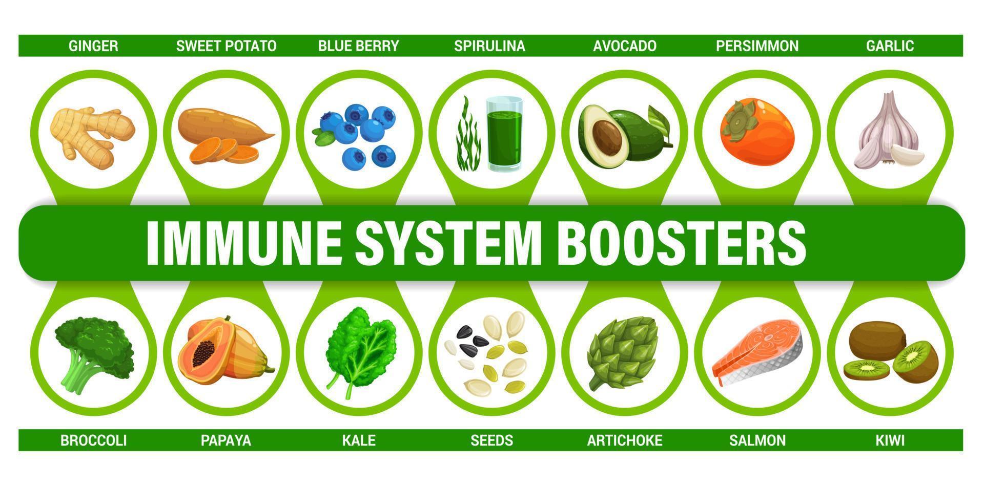 Immune system food boosters infographics chart vector
