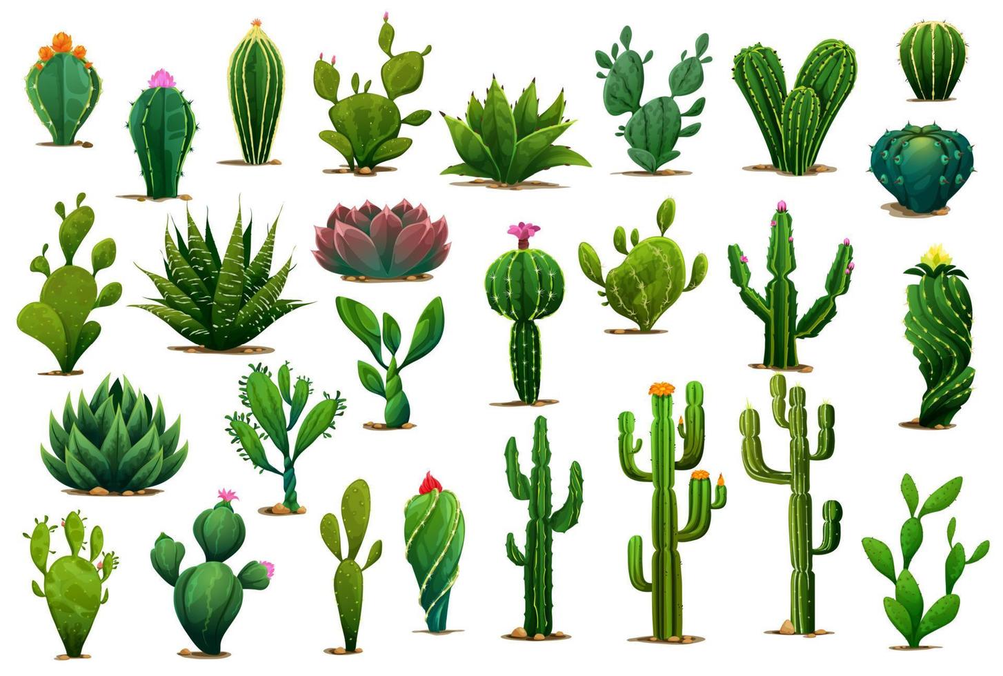 Cartoon prickly succulent cactus plants, flowers vector