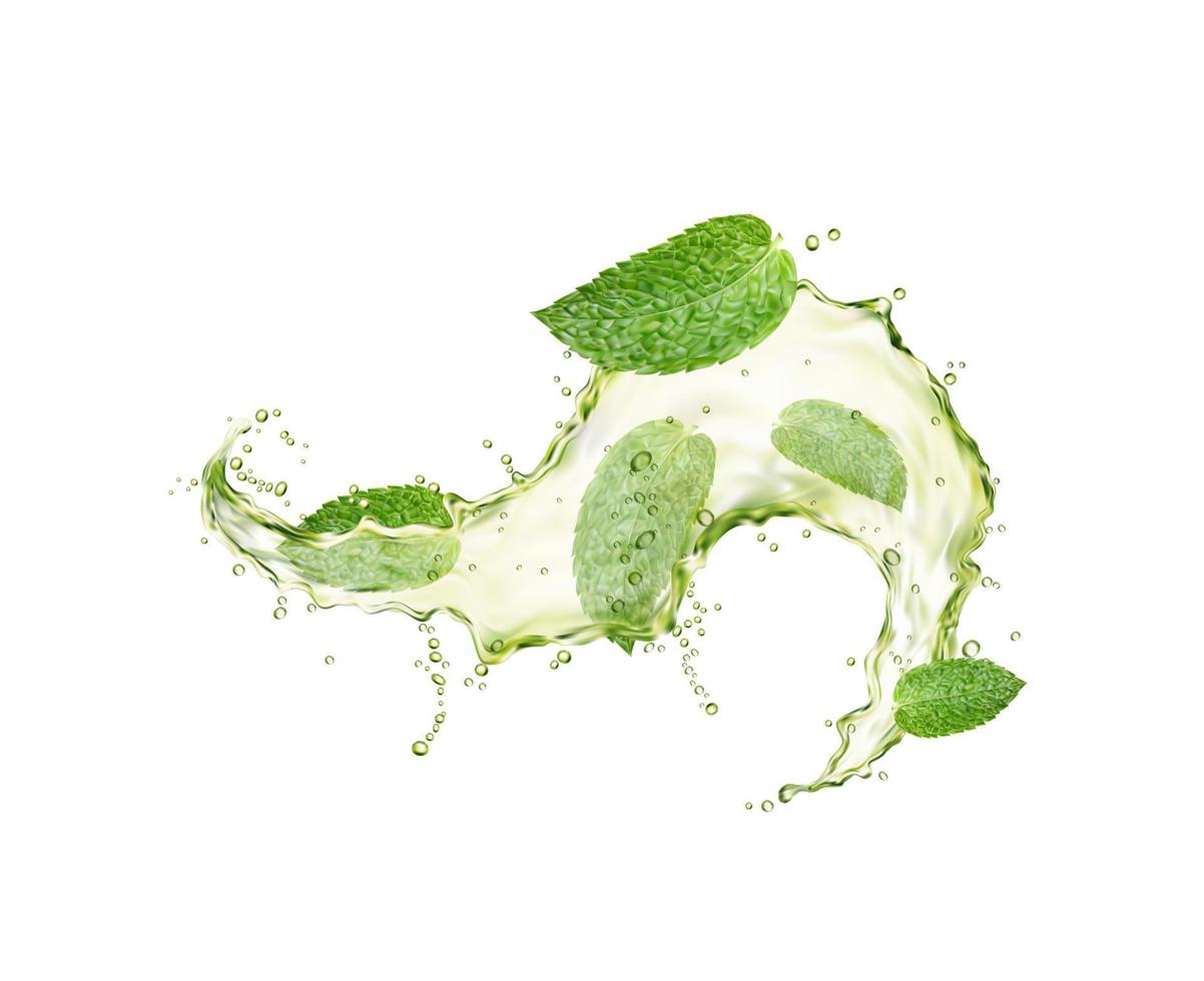 Green herbal tea wave splash, mint leaves flow vector