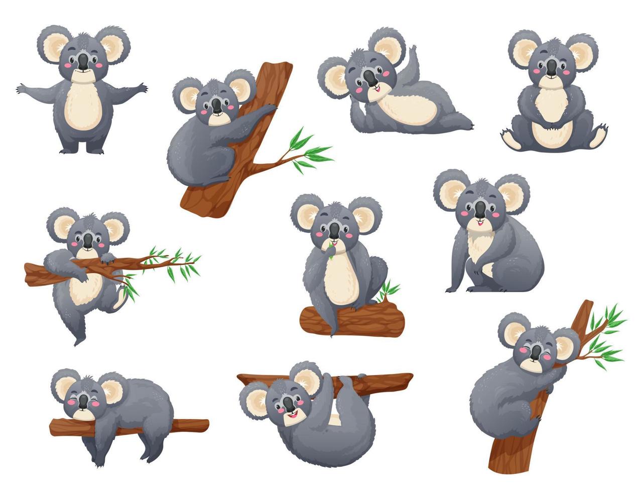 Cartoon koala bear, australian animal character 15600267 Vector Art at Vecteezy