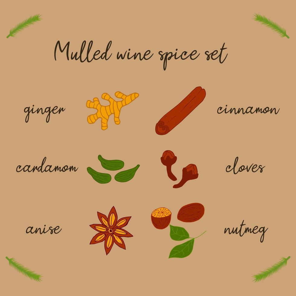 Set of spices for mulled wine vector illustration