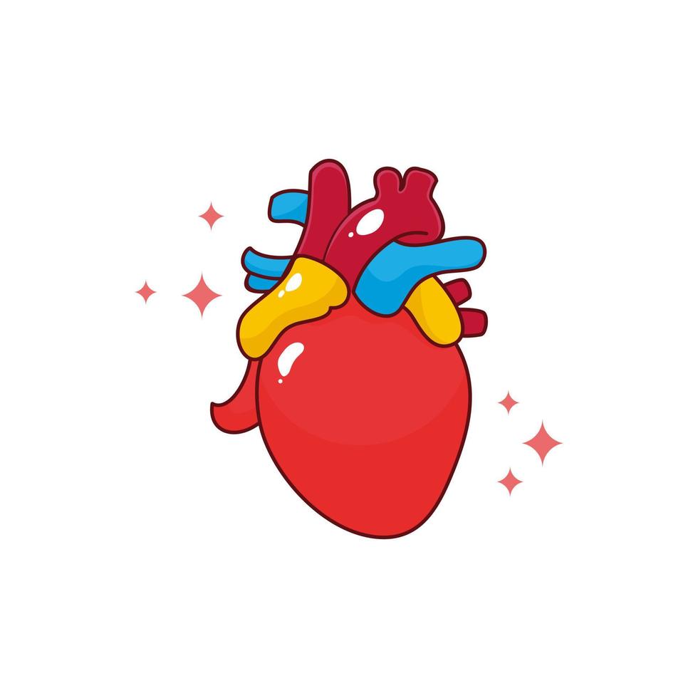 Human internal organ with heart. Vector cartoon flat icon illustration isolated on white background.