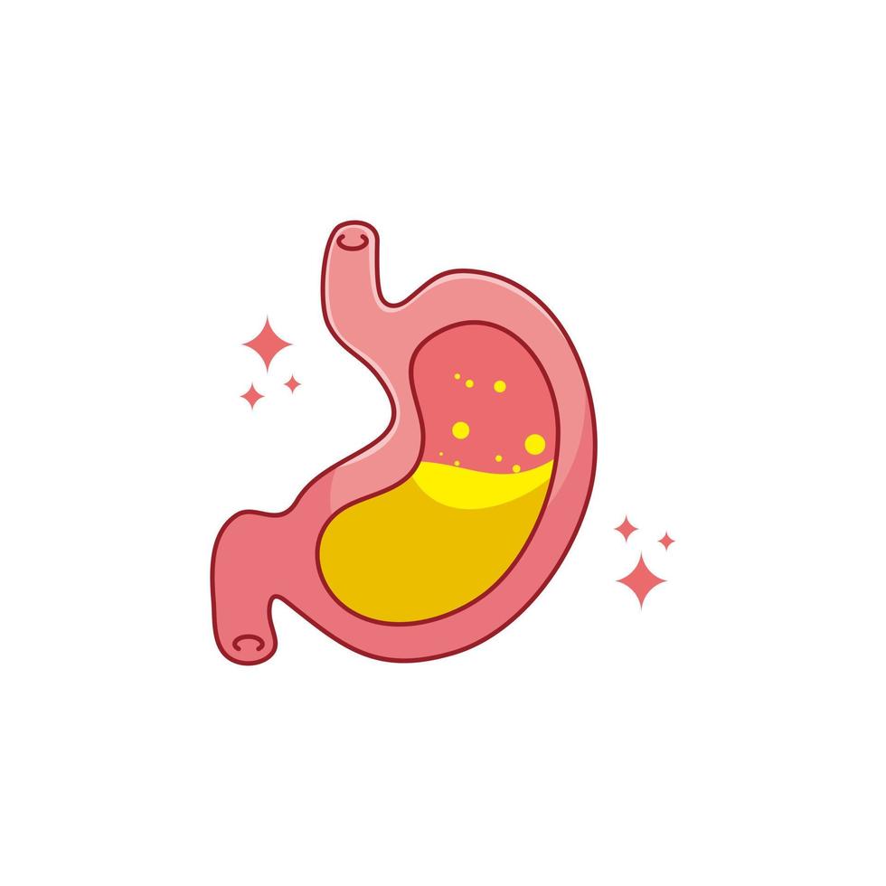 órgano interno humano con estómago. ilustración de icono plano de dibujos animados de vector aislado sobre fondo blanco.