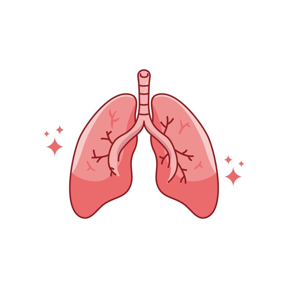 órgano interno humano con pulmones. ilustración de icono plano de dibujos animados de vector aislado sobre fondo blanco.