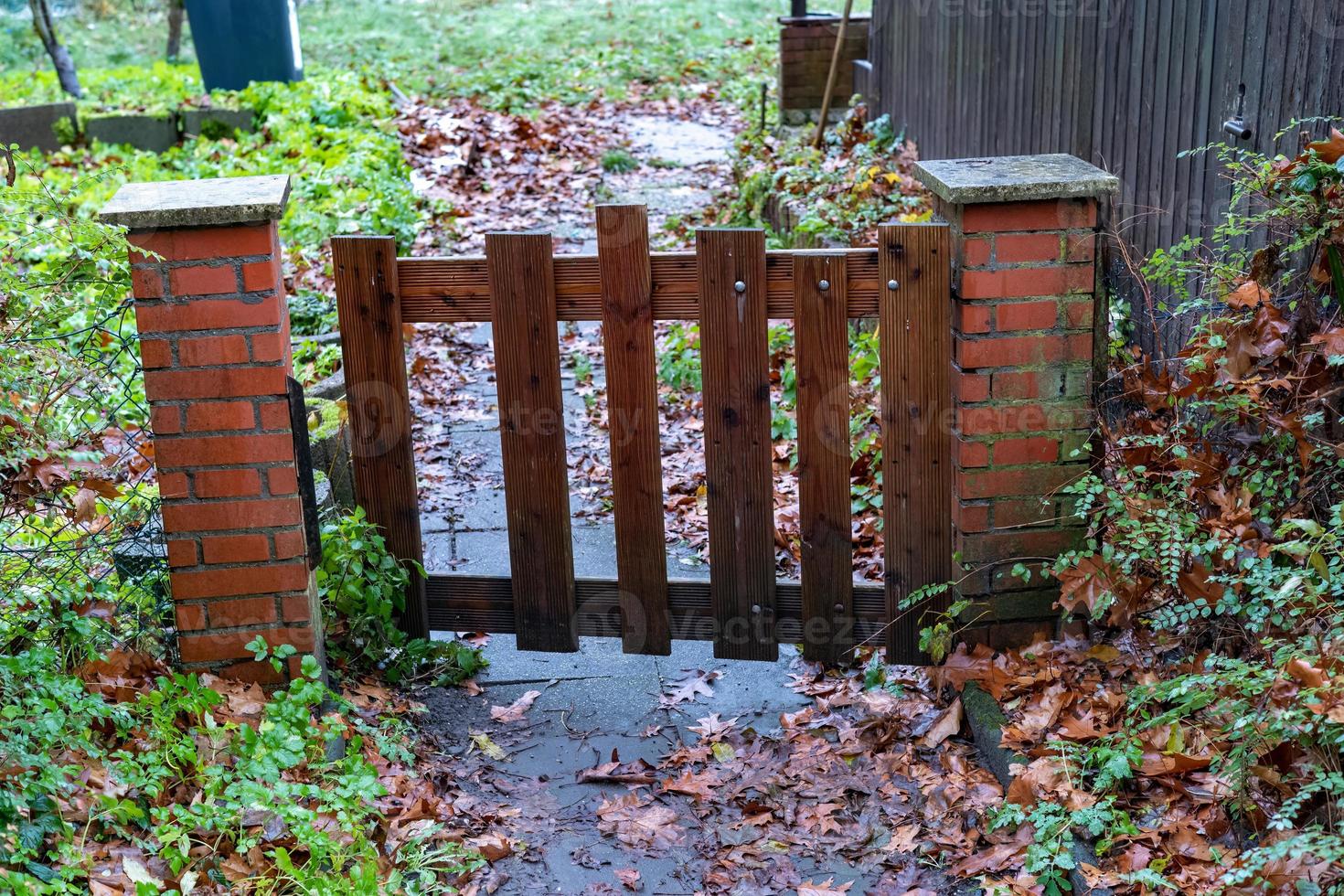 low garden gate in autumn photo