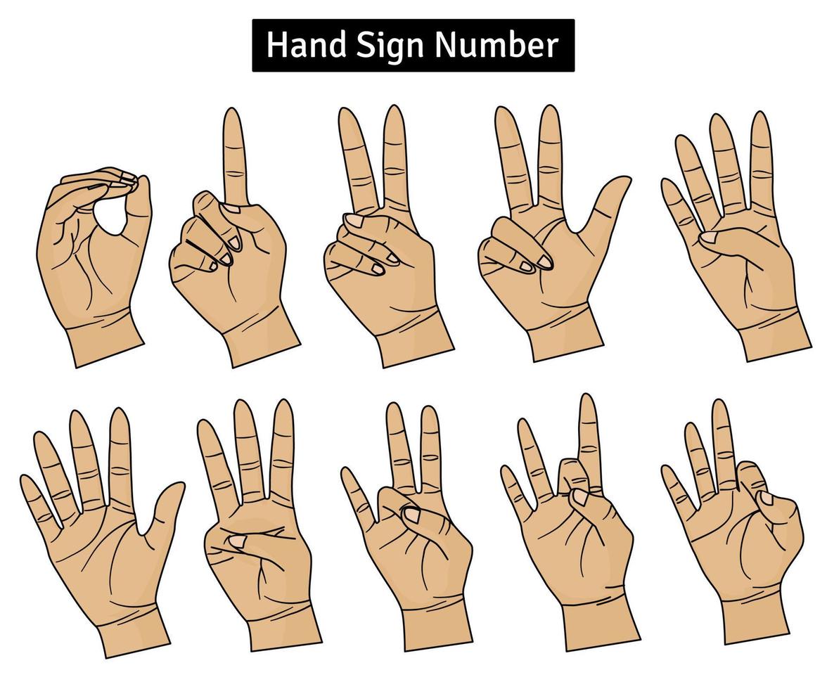 American Sign Language Number. Hand Sign Language Counting Gesture Collection vector