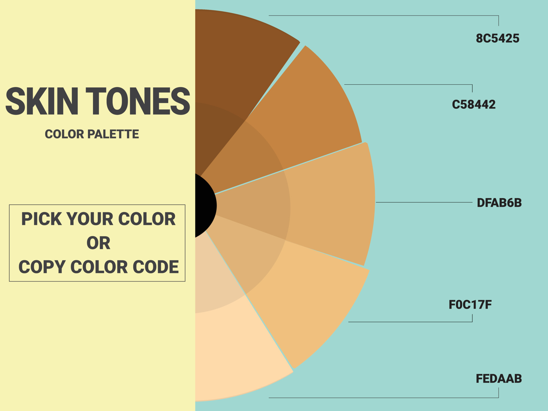 Skine Tones Color Palette With Color Code 15601585 Vector Art At Vecteezy