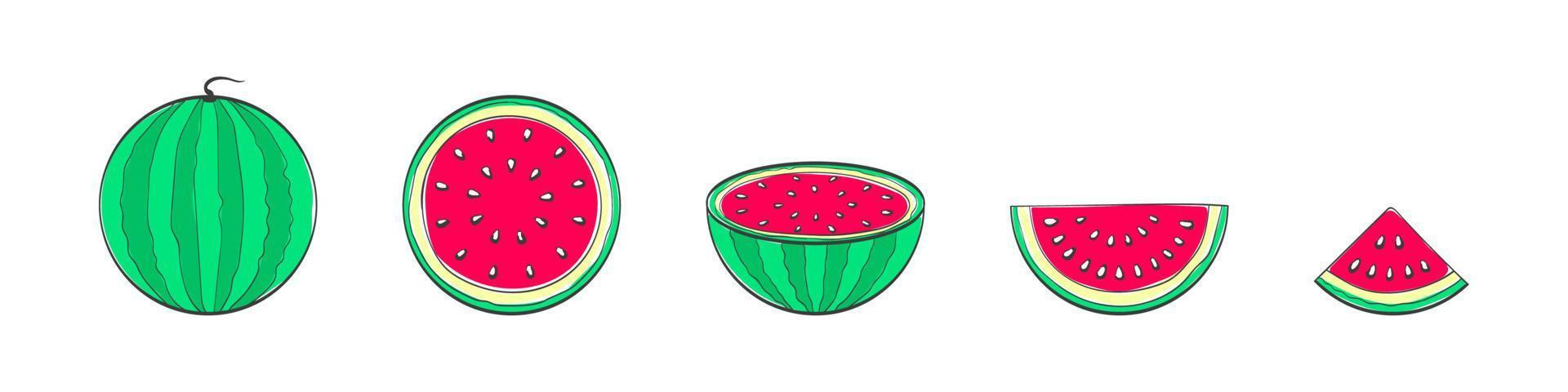 Watermelons. Set of hand drawing watermelons. Cartoon watermelons. Doodle fruits. Vector illustration