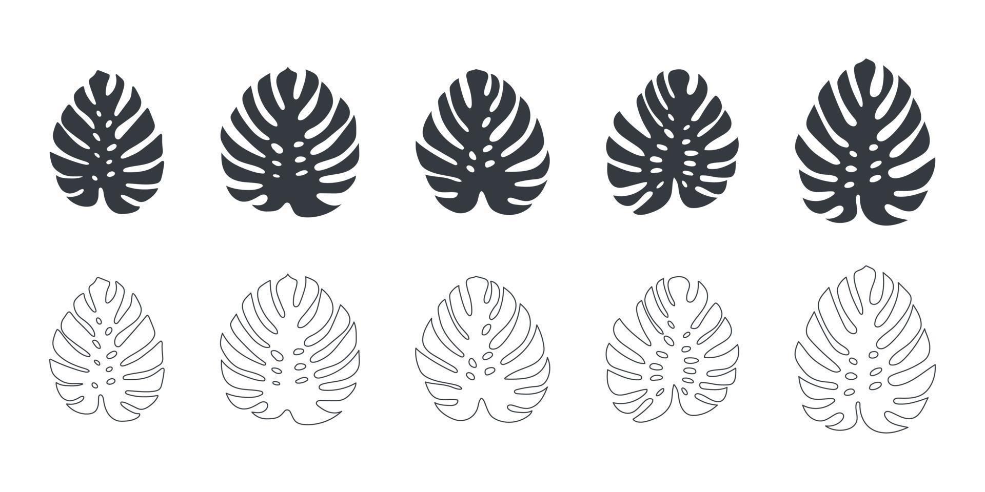 Tropical leaves. Leaves of monstera. Set of leaves icons linear and flat style. Vector illustration