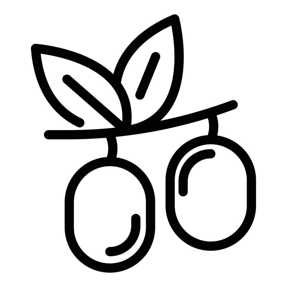 Jojoba seeds icon, outline style vector