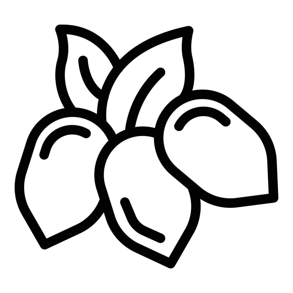 Bio jojoba nuts icon, outline style vector