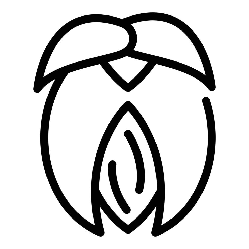 icono de nuez de jojoba, estilo de esquema vector