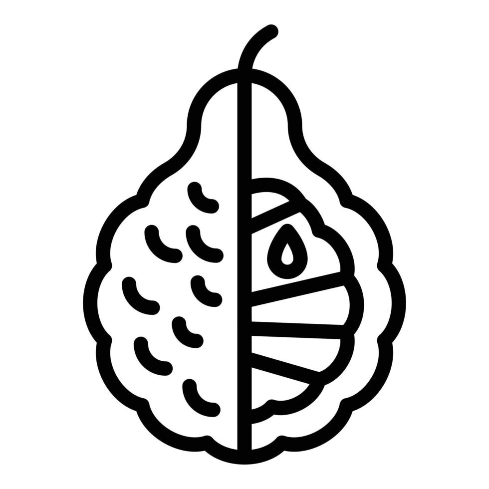 Balm bergamot icon, outline style vector