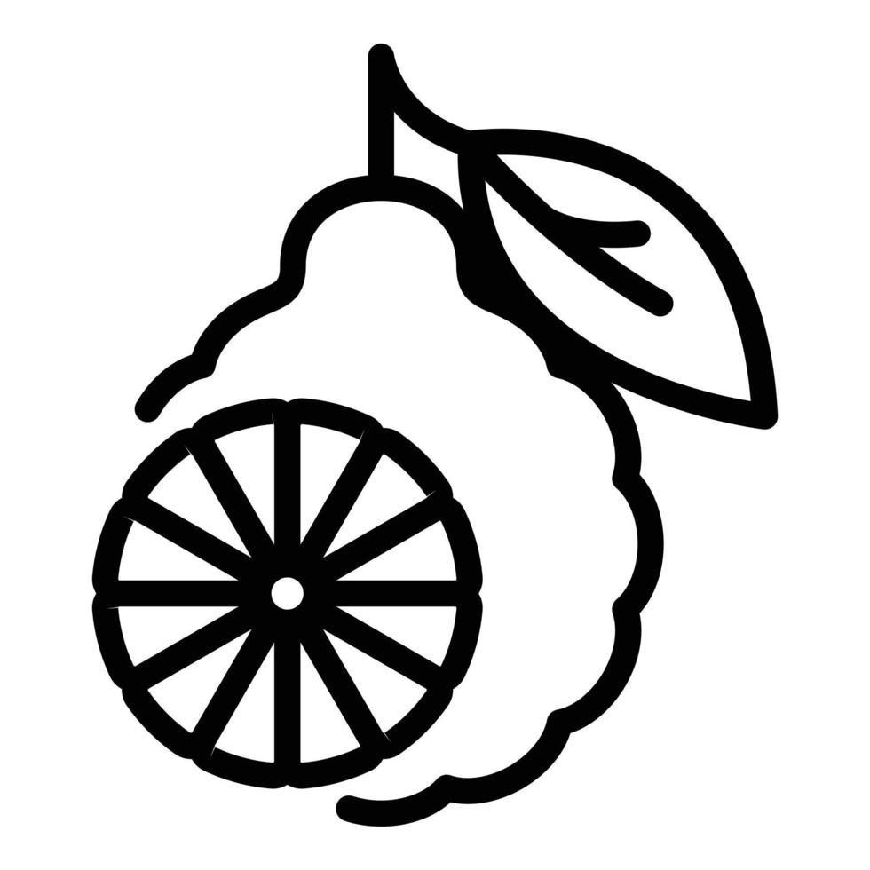 Bergamot icon, outline style vector