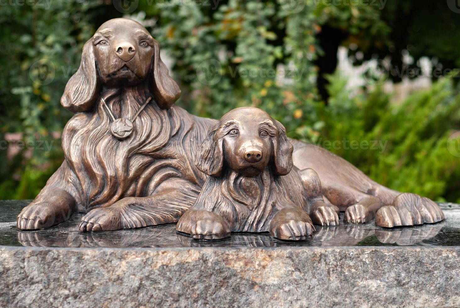 Dogs close-up, bronze monument dedicated to dog loyalty photo