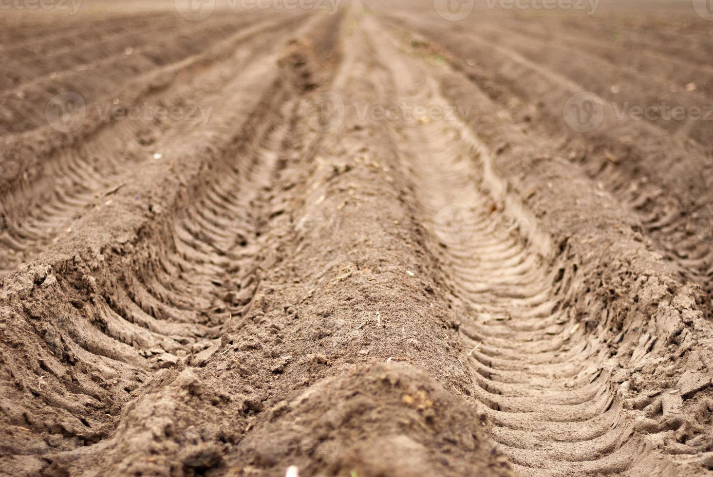 Plowed field, furrows in the ground for sowing seeds photo