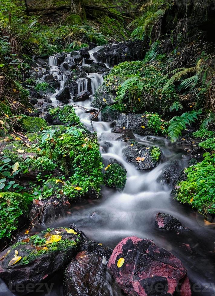 Small cascade in the Palatinate forest photo