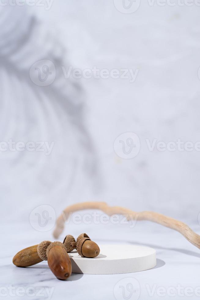 A minimalistic scene of a podium with wood and acorns on white background, for natural cosmetics photo