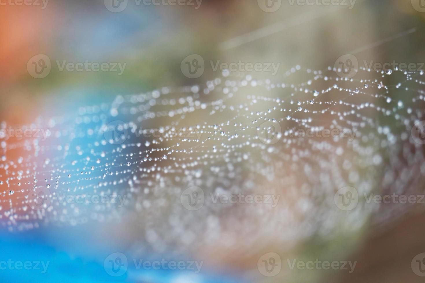 blurred abstract spiderweb natural with rain drop on the line against the sun photo