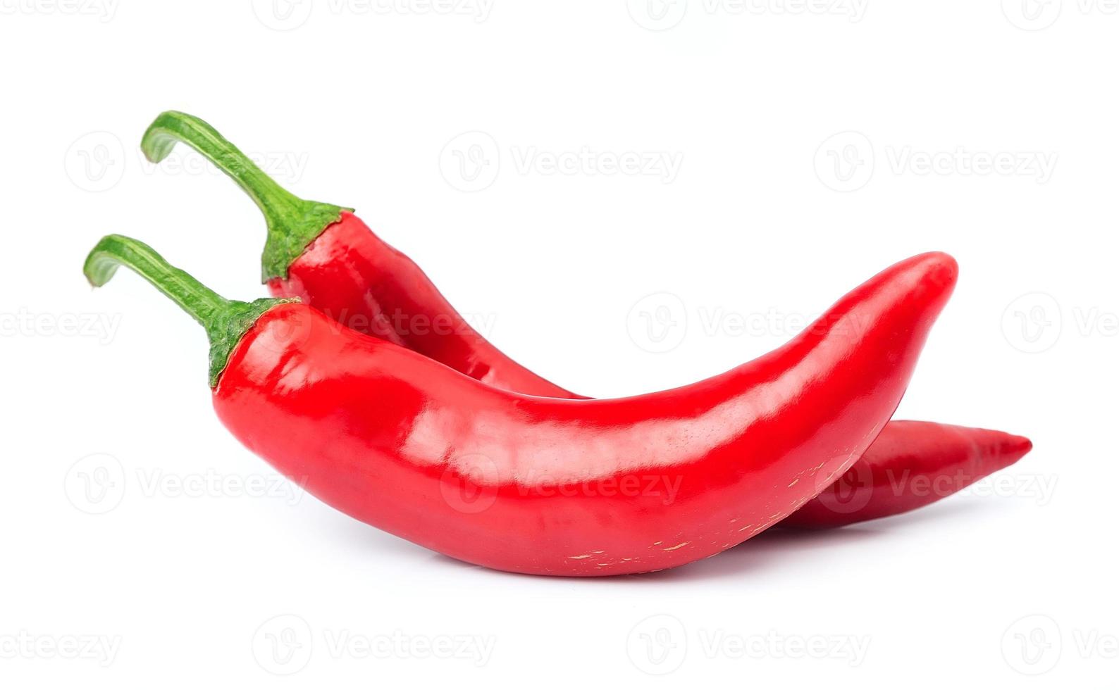 chili pepper on white background photo