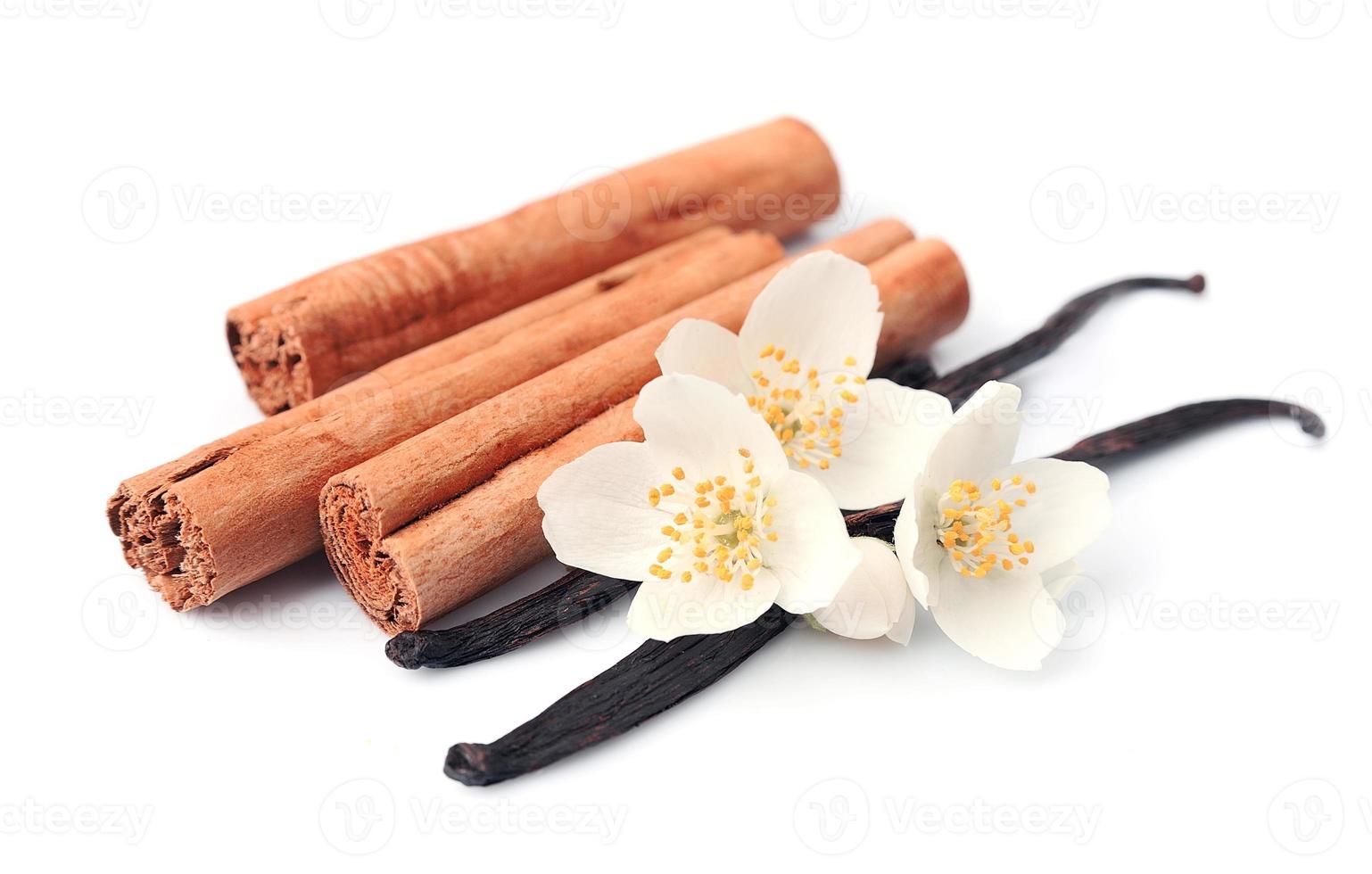 Vanilla sticks and cinnamon photo