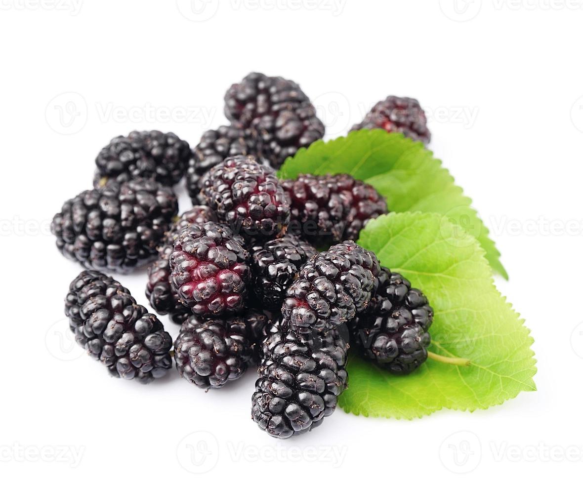 Ripe mulberry with leafs photo