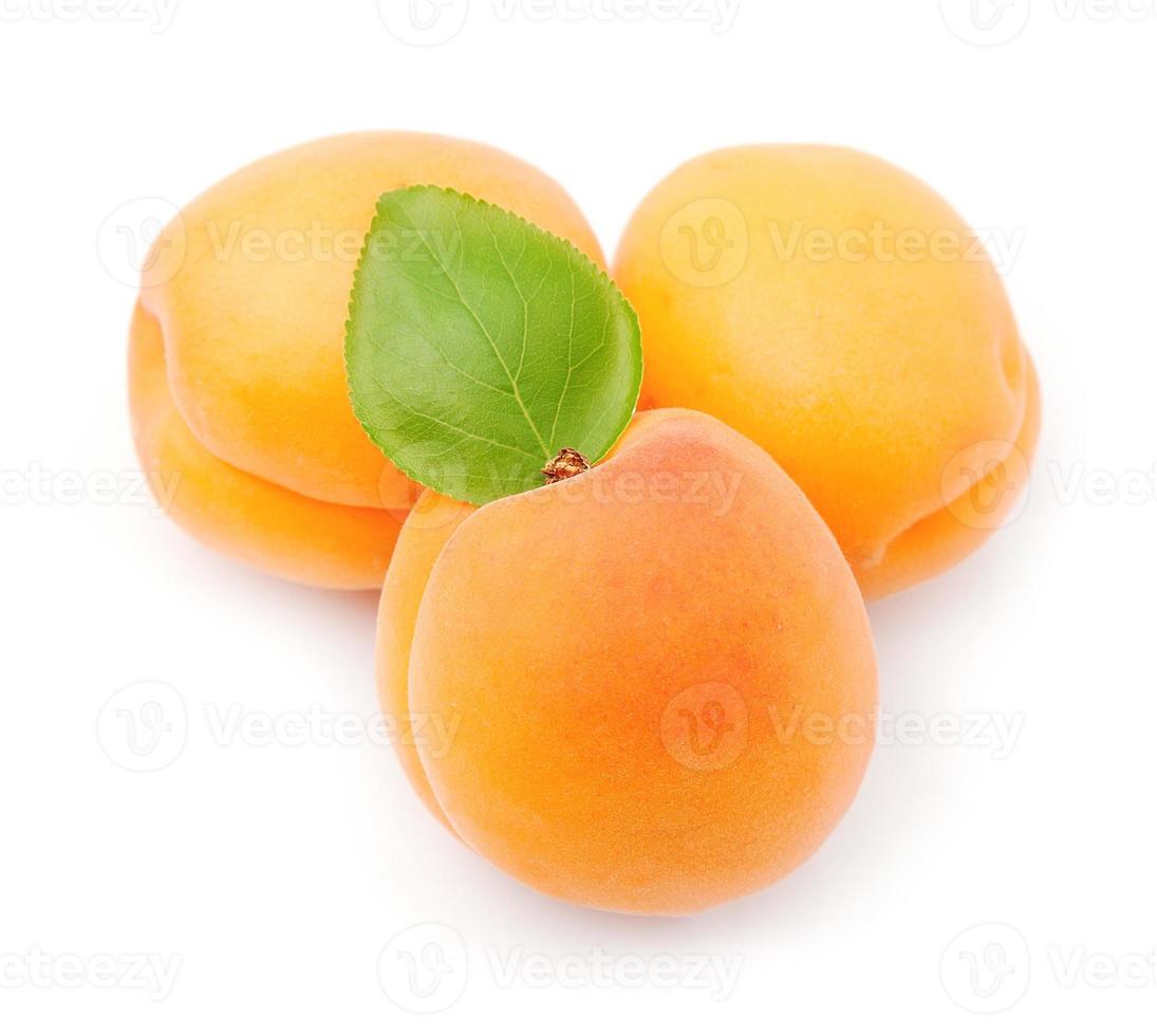 Sweet apricots fruits photo