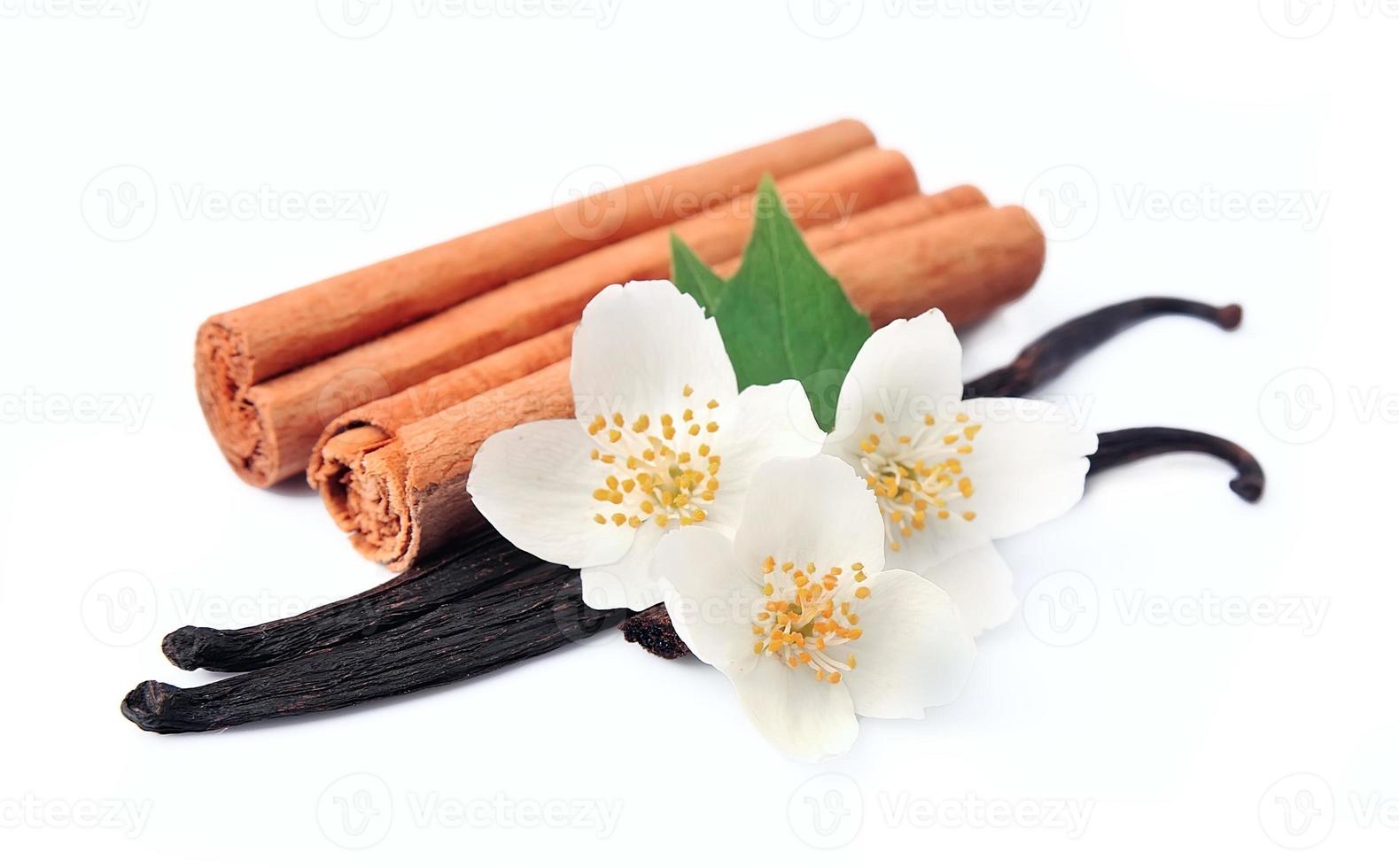 Vanilla sticks and cinnamon photo