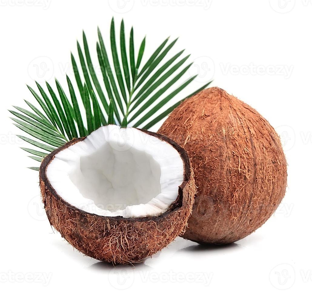 Coconuts with leaves. photo