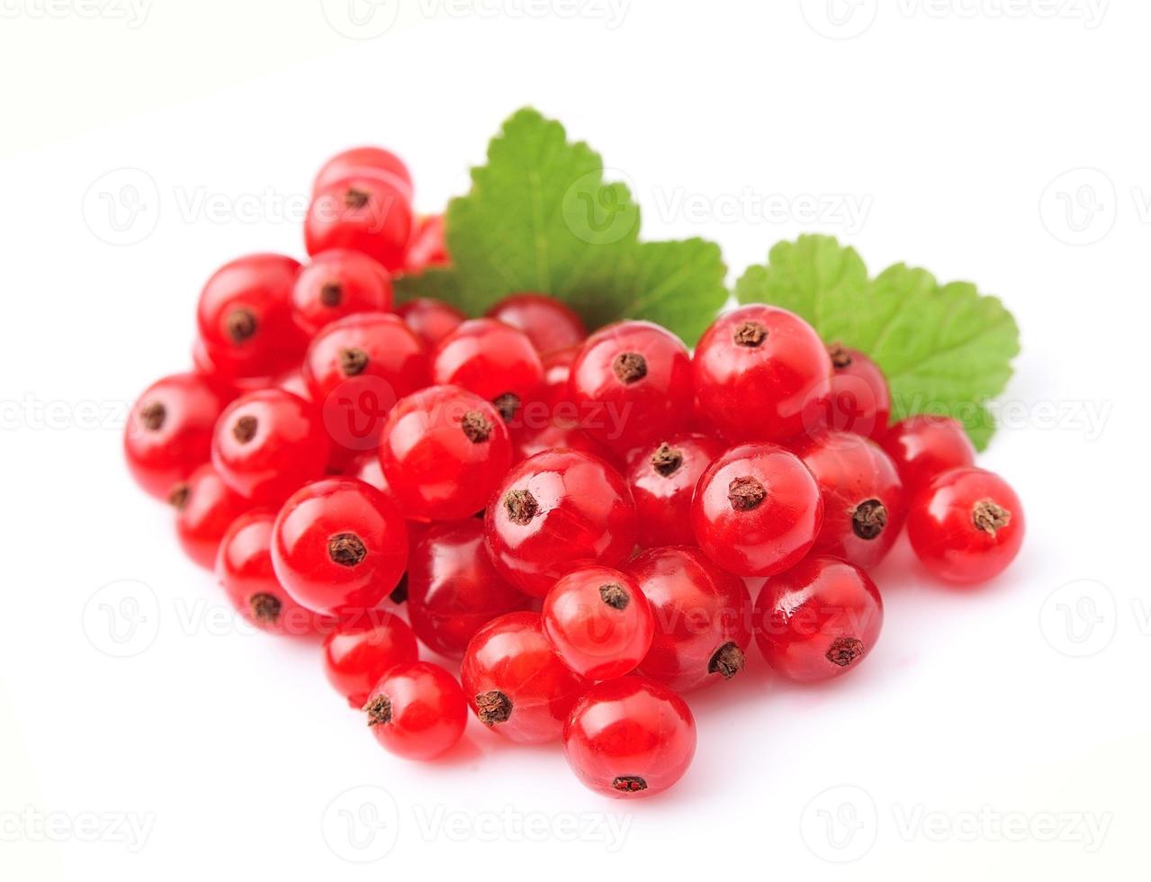 Red currants berry photo