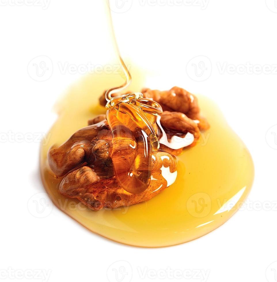 Honey dipper with walnuts photo