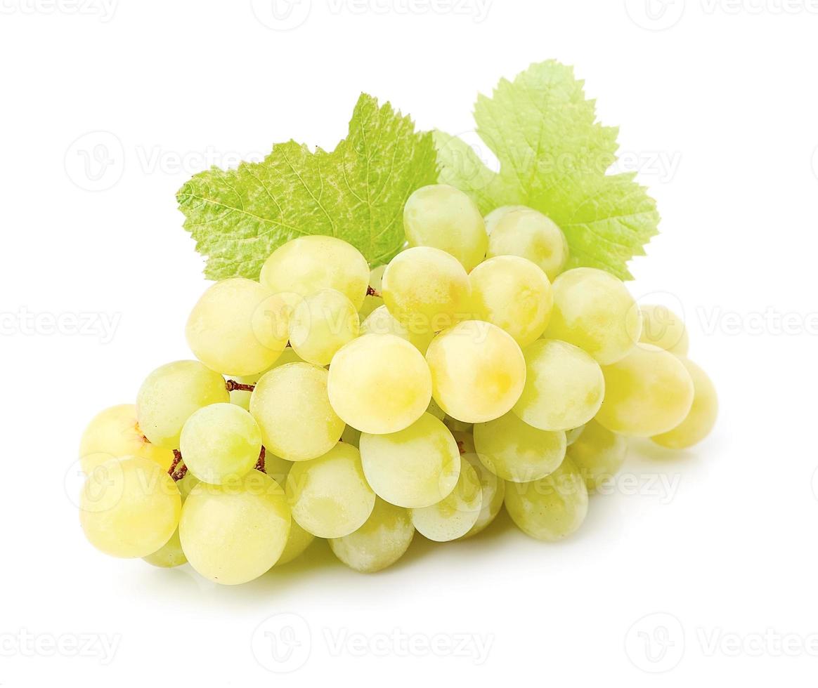 Ripe grapes fruits photo