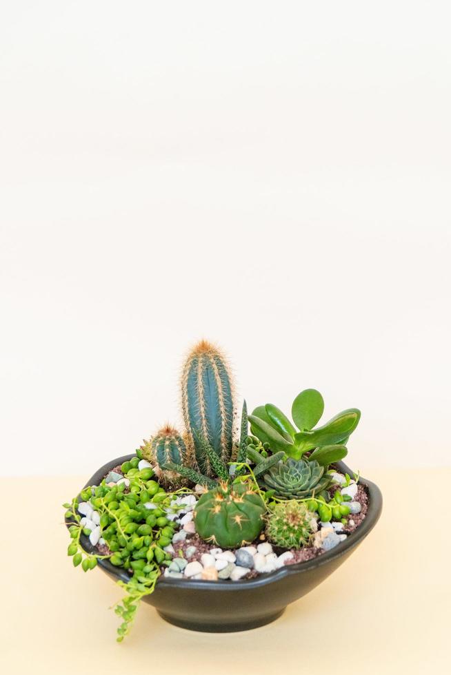 Homemade potted plant on a white and yellow background photo