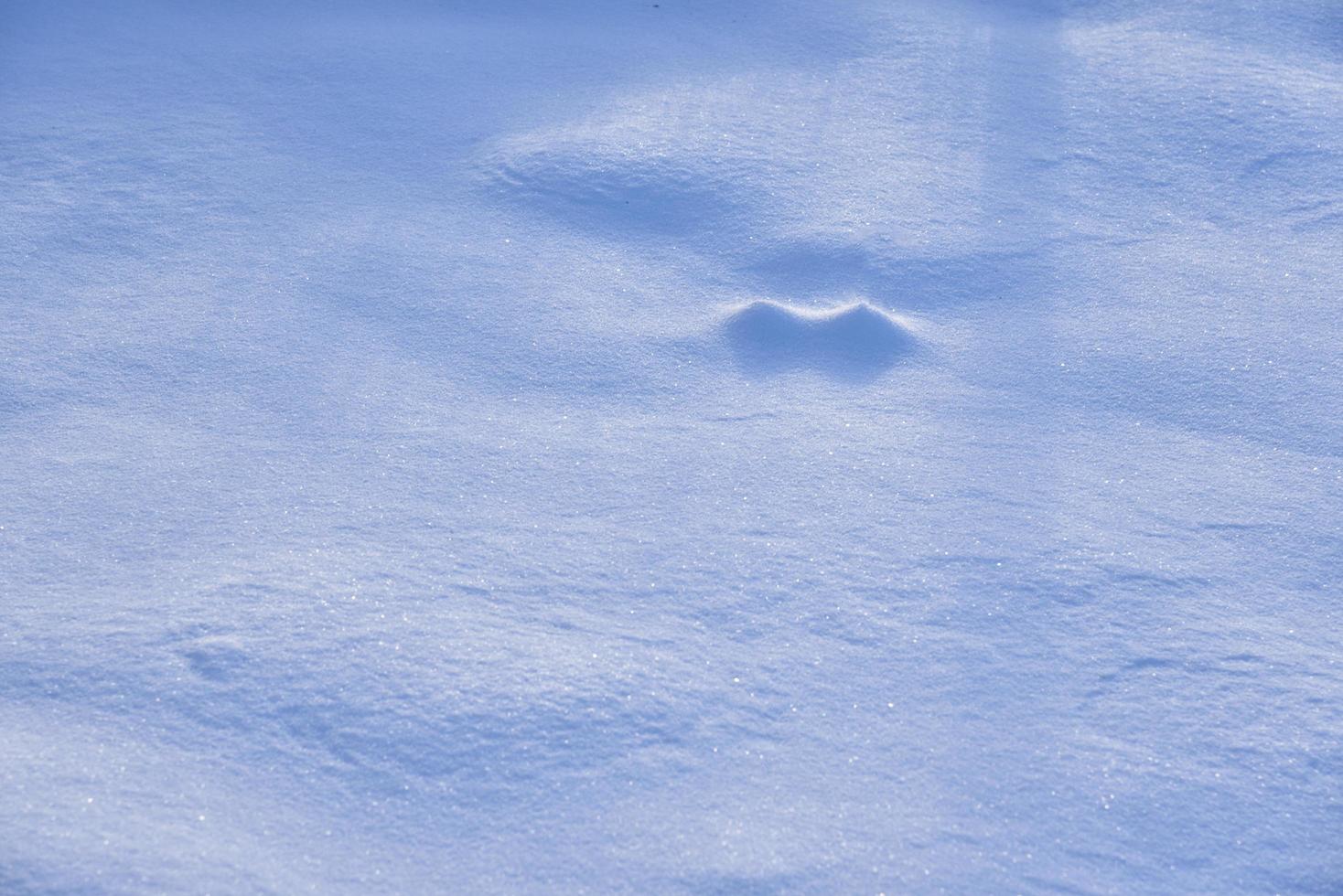 An even layer of fresh snow in winter. Beautiful fresh snow in the afternoon. photo