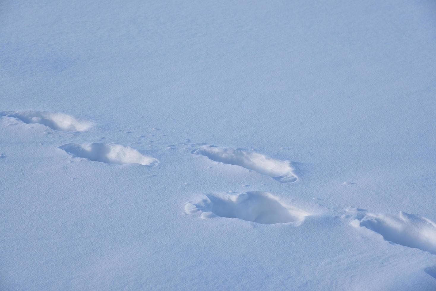 The tracks of a traveler on the fluffy snow in winter. Winter landscape. Winter track during the day. photo