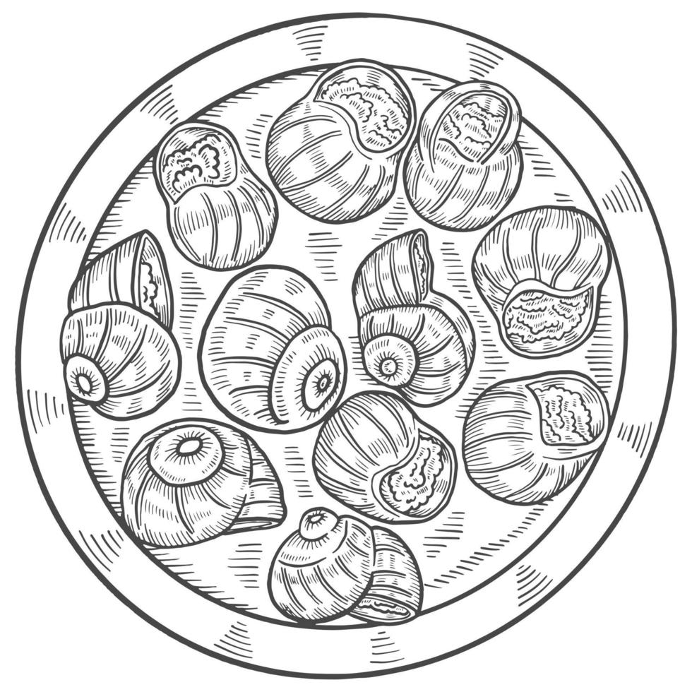 escargots francia comida cocina aislado garabato boceto dibujado a mano con ilustración de vector de estilo de contorno