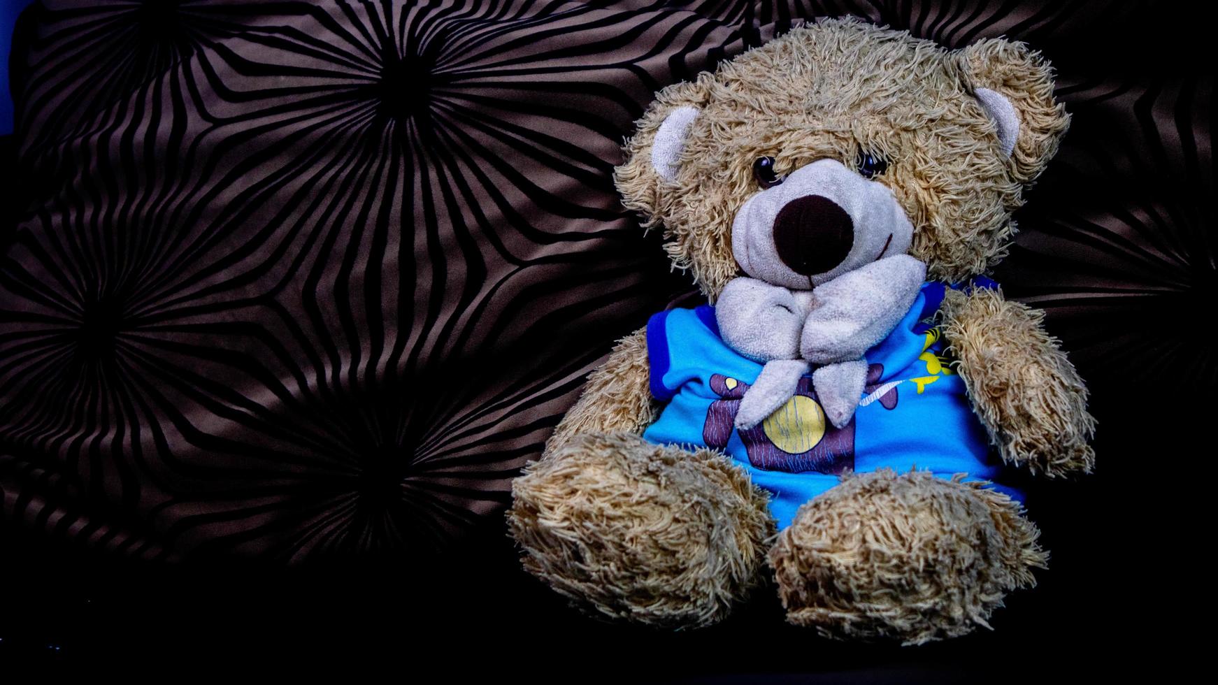 teddy bear in a blue t-shirt on a black sofa photo