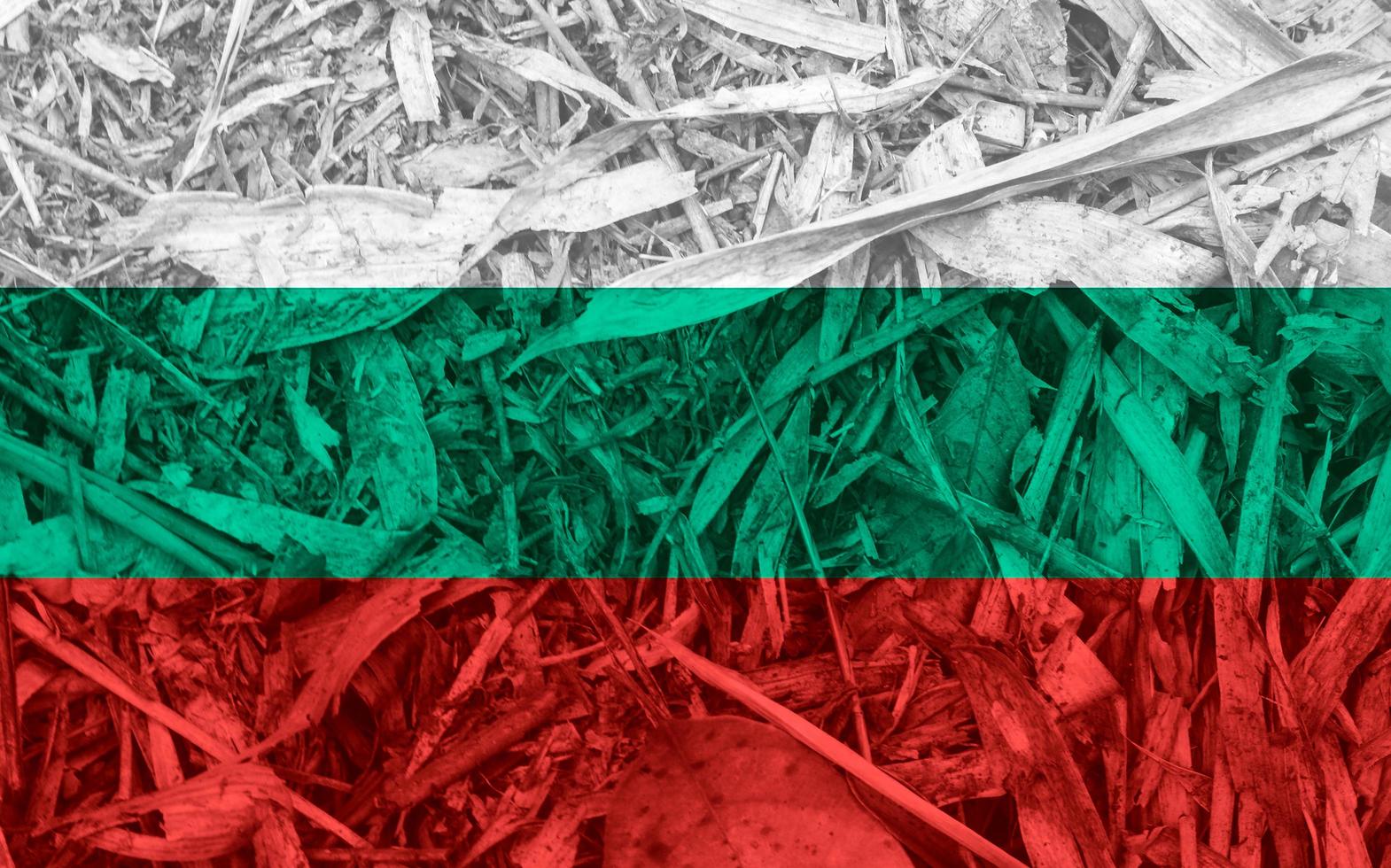 Bulgarian flag texture as a background photo