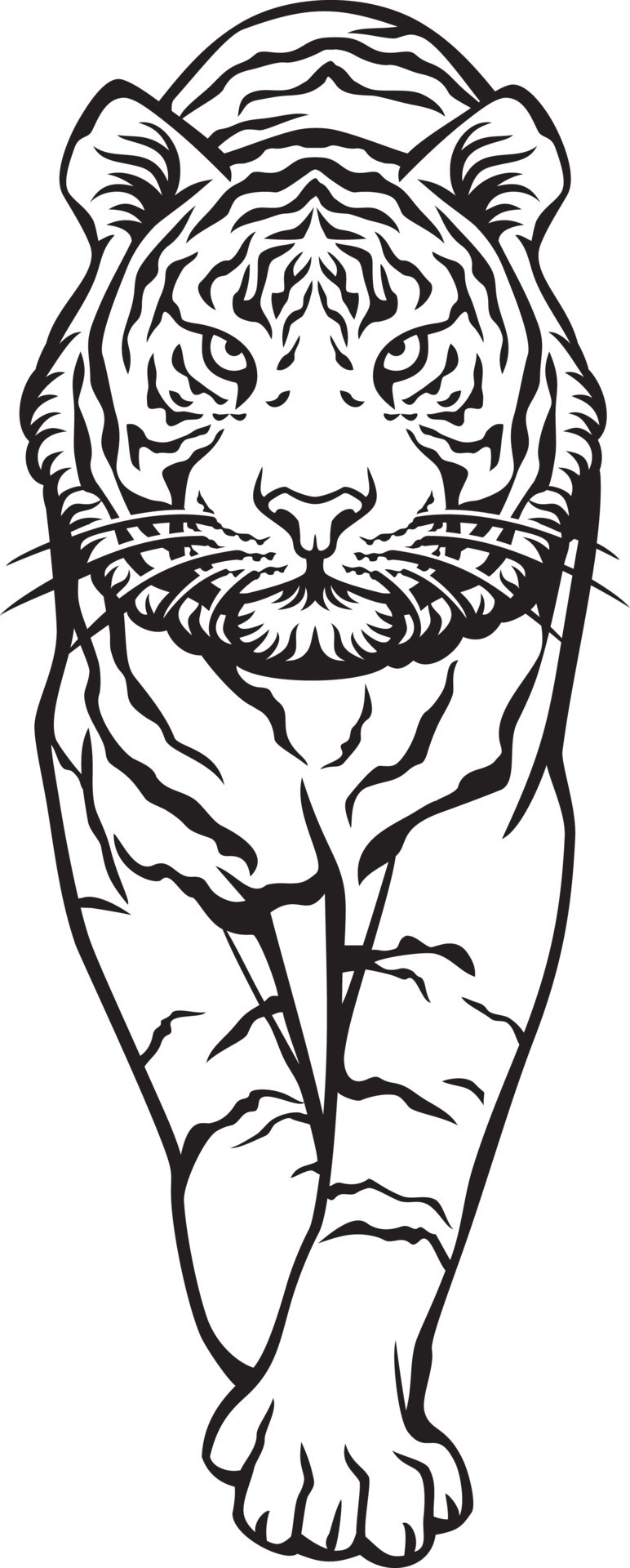 Tiger Walking Black and White - Front Side. Vector Illustration