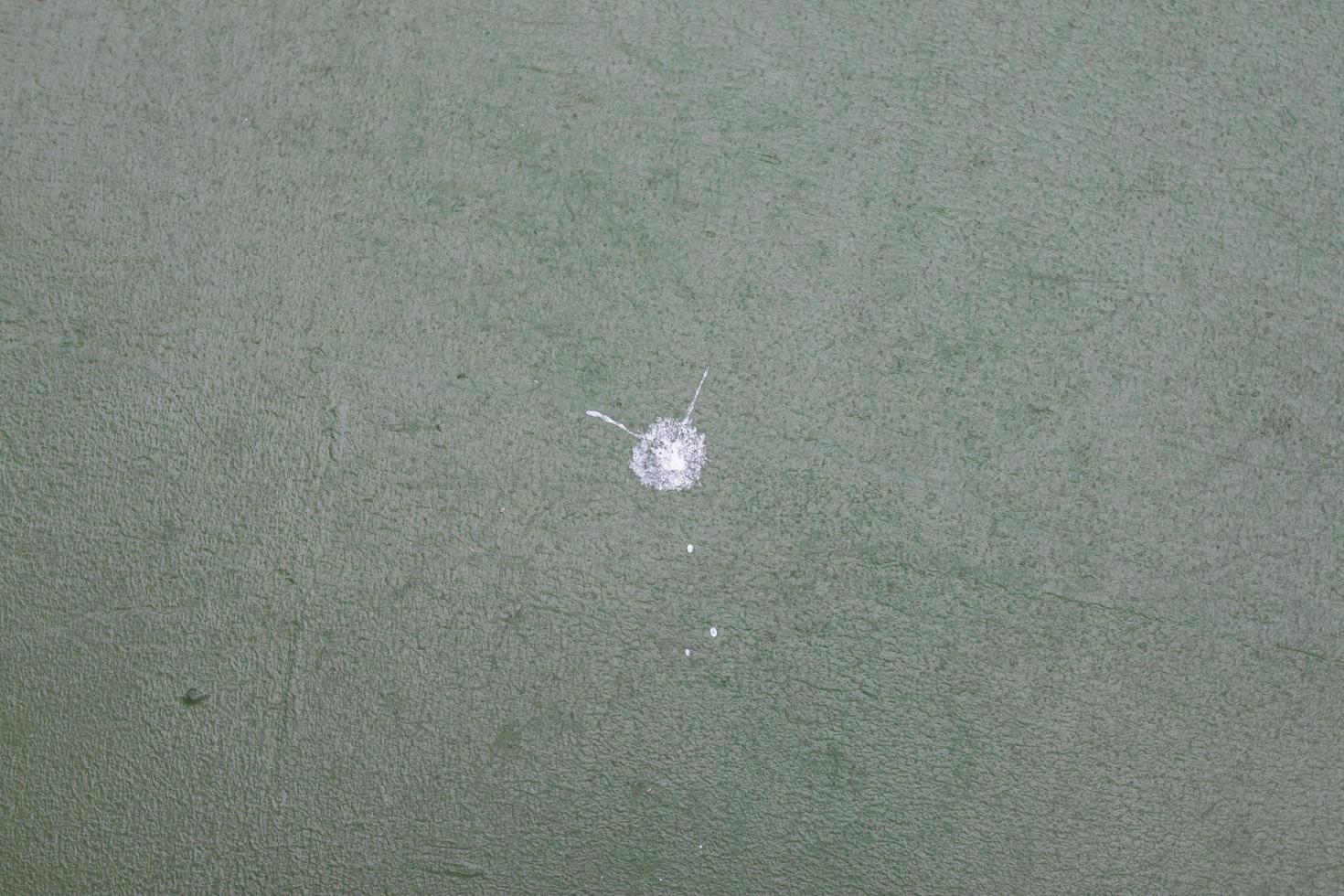 White bird shit drop on green cement floor. photo