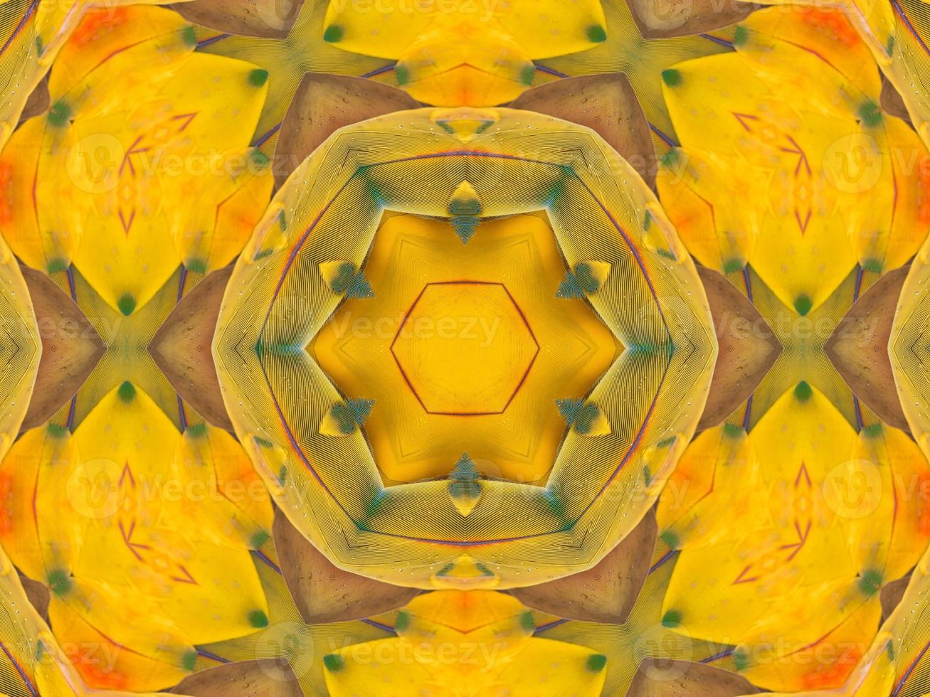 Yellow feather kaleidoscope floral pattern with some blue and red color. Abstract unique and aesthetic background. photo