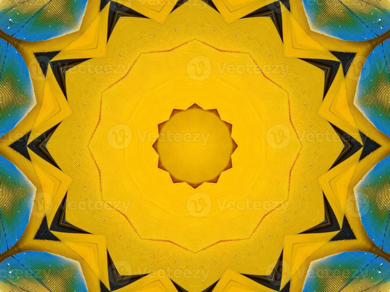 Yellow feather kaleidoscope floral pattern with some blue and red color. Abstract unique and aesthetic background. photo