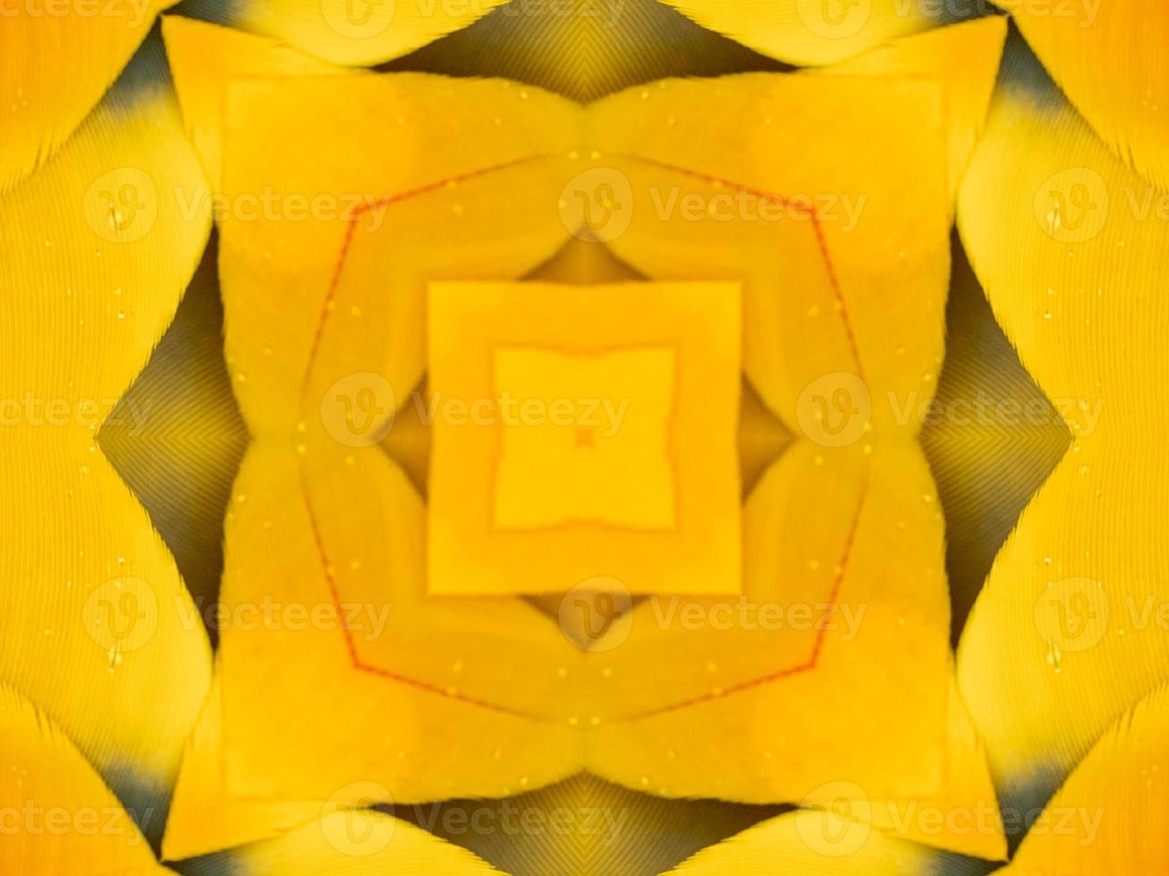 Yellow feather kaleidoscope floral pattern with some blue and red color. Abstract unique and aesthetic background. photo